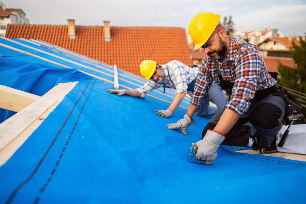 Best Roof Insulation Installation  in Hopewell, NJ